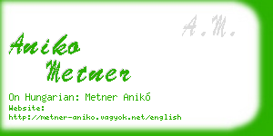 aniko metner business card